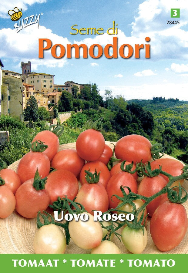 Pomodori Uovo Roseo Thai-Ei 1,5 Gramm