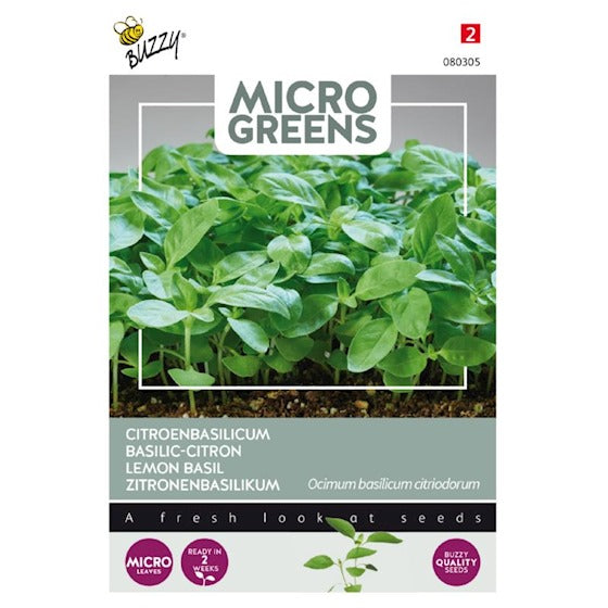 Germes Buzzy Microgreens. Basilic citron 1 gramme