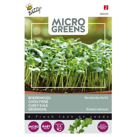 Buzzy Microgreens-Sprossen. Grünkohl 1 Gramm