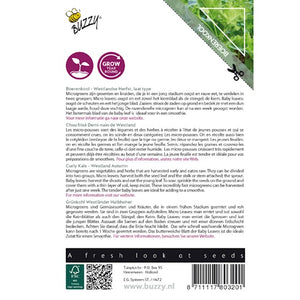 Germes Buzzy Microgreens. Chou frisé 1 gramme