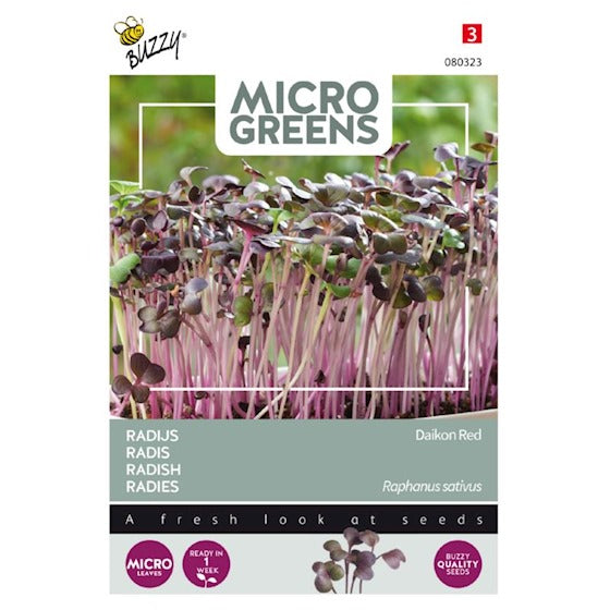 Germes Buzzy Microgreens. Radis Rouge Daikon 15 grammes