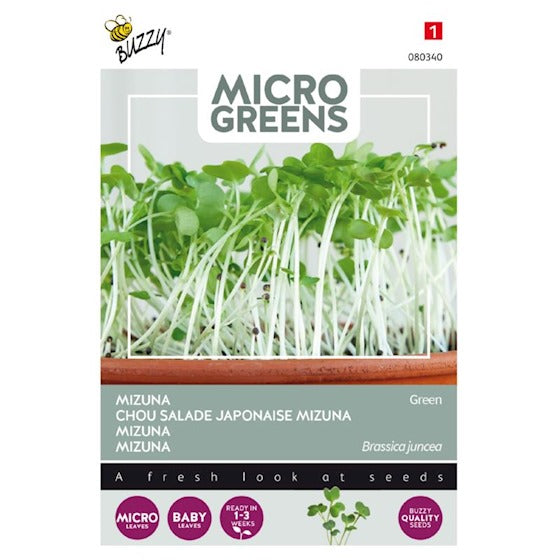 Buzzy Microgreens-Sprossen. Mizuna Green 1 Gramm