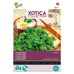 Buzzy® Xotica Koriander Koriander