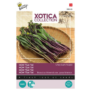 Buzzy® Xotica Hon Tsai Tai Choy Sum Violet