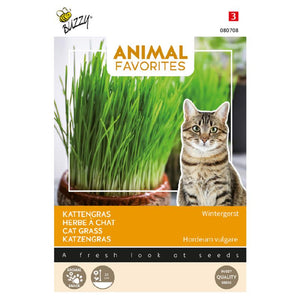 Tierfavoriten Katzengras