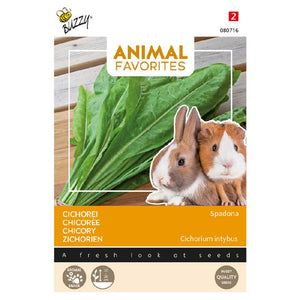 Animal Favourites Chicorée für Kaninchen und Meerschweinchen