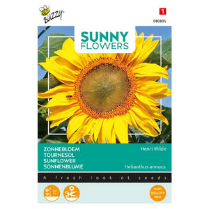 Buzzy® Sunny Flowers. Zonnebloem King Kong