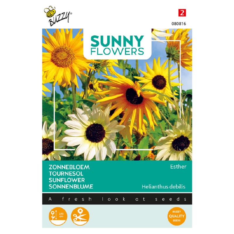 Buzzy® Sunny Flowers. Sonnenblumenesther