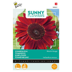 Buzzy® Sunny Flowers. Sonnenblumen-Moulin Rouge