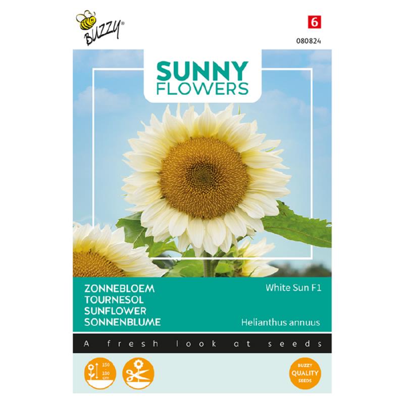 Buzzy® Sunny Flowers. Sonnenblume Weiße Sonne F1