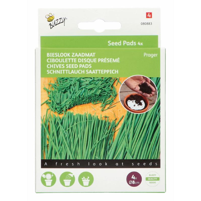 Buzzy® Seedpads Bieslook Prager 4x 8cm