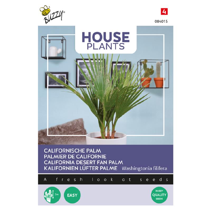 Buzzy® House Plants Kalifornische Palme