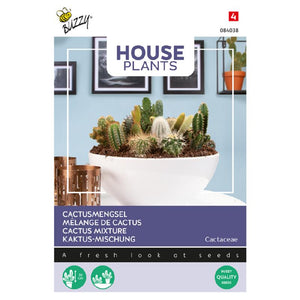 Buzzy® House Plants Kaktusmischung