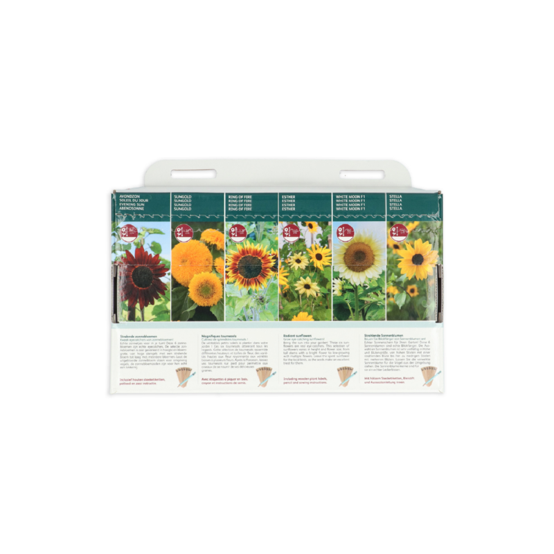 Buzzy® Collection 6 Tournesols