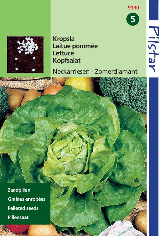 Salatpillensamen Summer Diamond 5 Gramm – ca. 500 Pillen