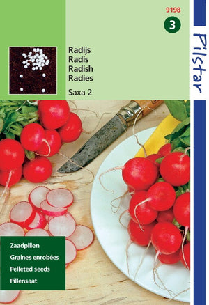 Rettichtablettensamen Saxa 7 Gramm – Einfache Aussaat von Radieschen