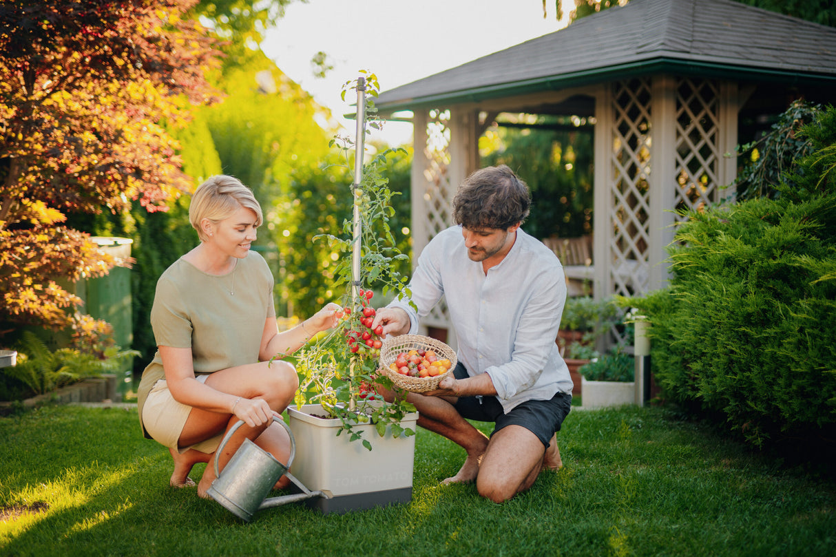 TOM TOMATO: de tomatenpot met waterreservoir & klimsteun