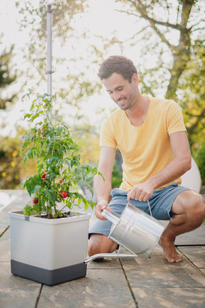 TOM TOMATO : le pot à tomates avec réservoir d'eau et support de grimpe