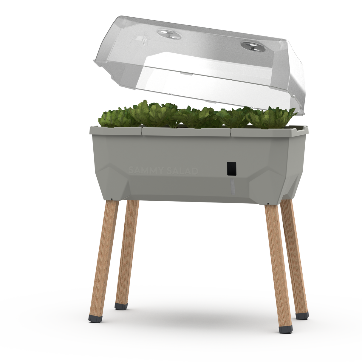 SAMMY SALAD - boîte d'élevage intelligente avec réservoir d'eau et couvercle