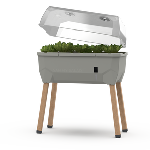 SAMMY SALAD – smarte Aufzuchtbox mit Wasserreservoir und Deckel