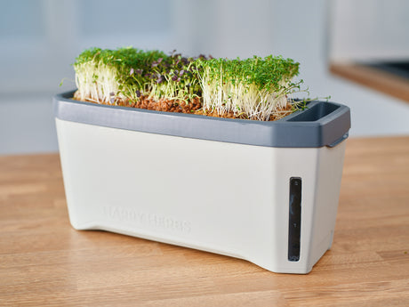 HARRY HERBS - Microgreens navulset incl. hydroponische kweekmat