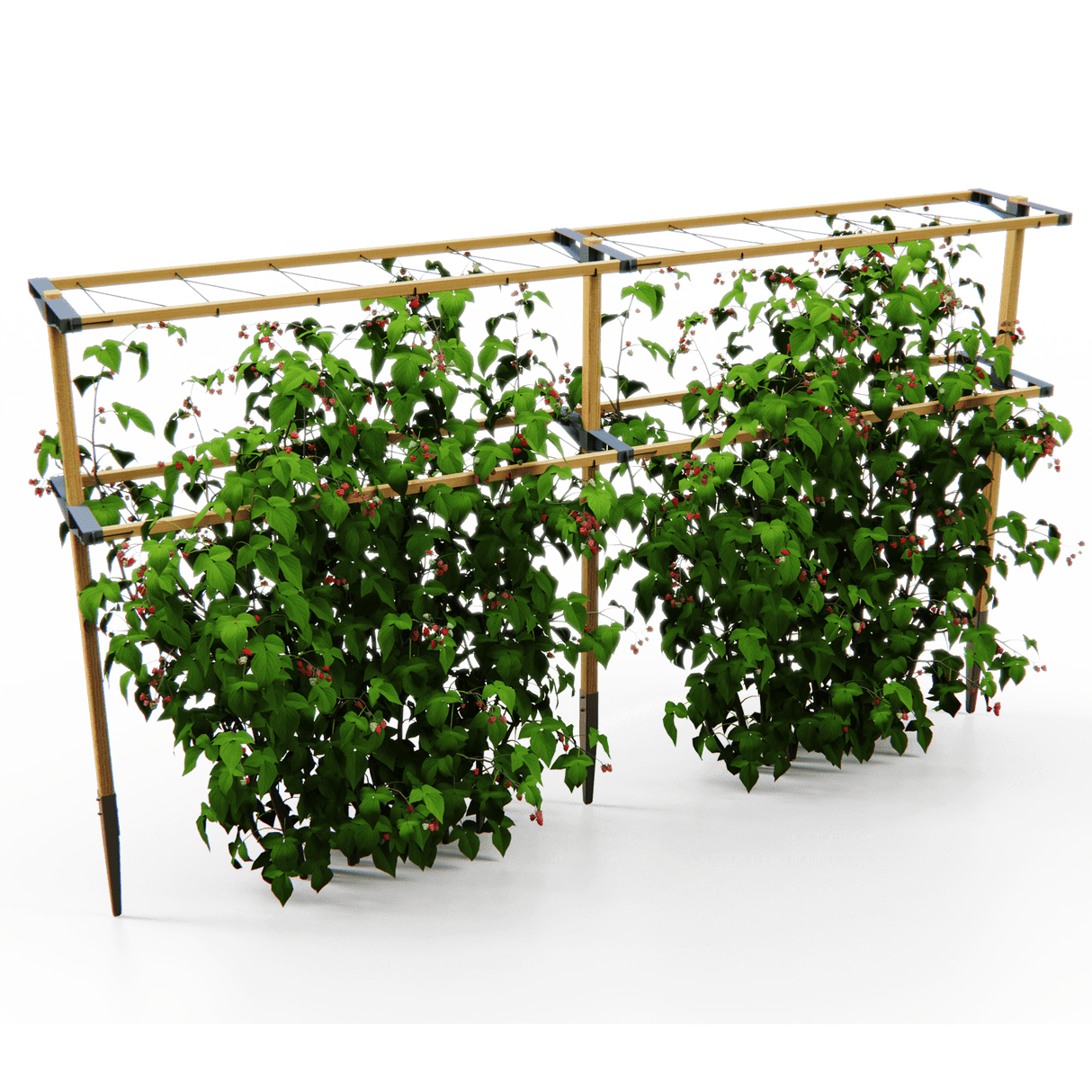 Berry Buddy – stabile Stütze (120 cm breit)