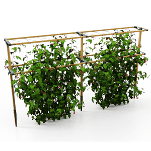 Berry Buddy – stabile Stütze (120 cm breit)