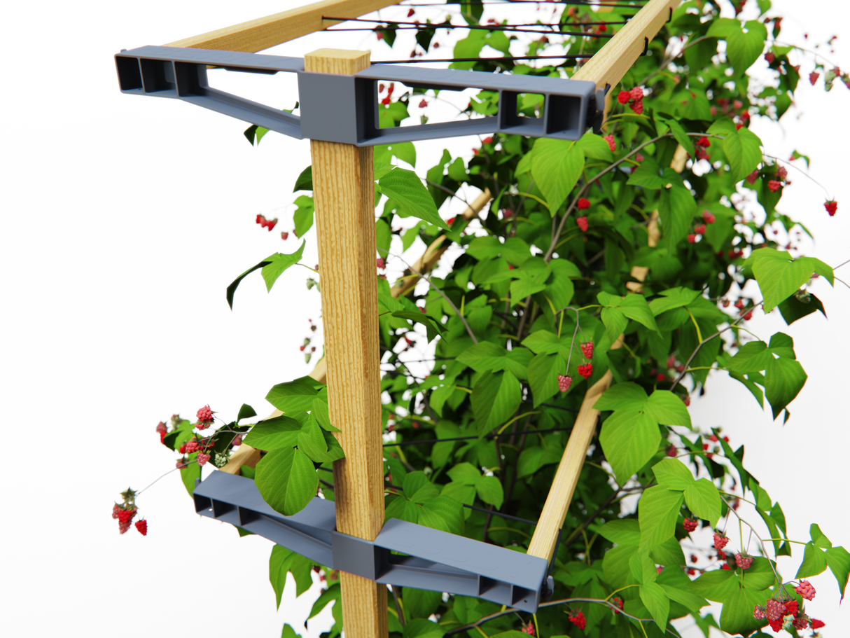 Berry Buddy - support stable (120 cm de large)