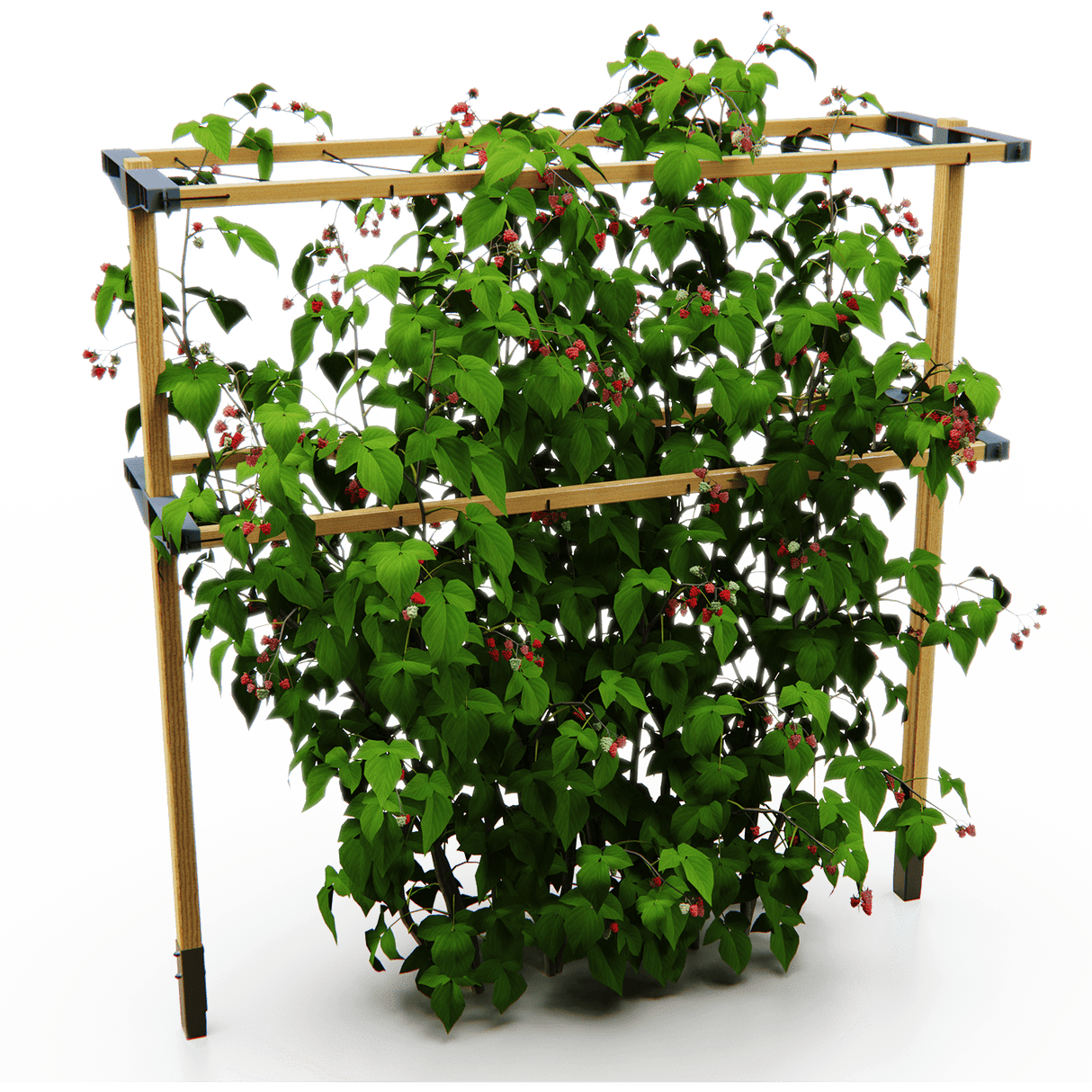 Berry Buddy – stabile Stütze (120 cm breit)