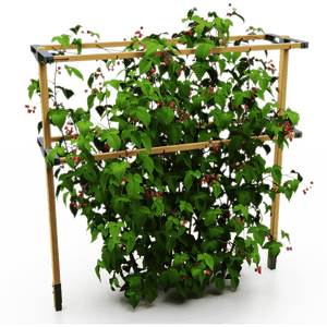 Berry Buddy – stabile Stütze (120 cm breit)