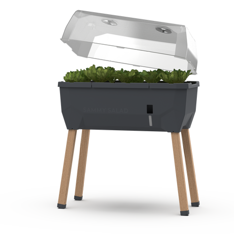 SAMMY SALAD – smarte Aufzuchtbox mit Wasserreservoir und Deckel