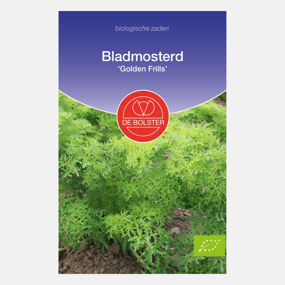 Bladmosterd 'Golden Frills' BIO