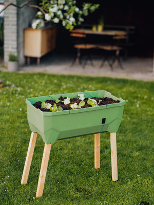 SAMMY SALAD – smarte Aufzuchtbox mit Wasserreservoir und Deckel