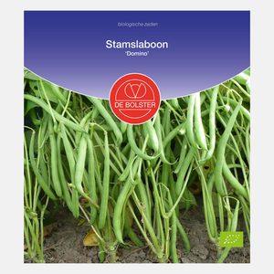 Haricot vert standard 'Compass' BIO