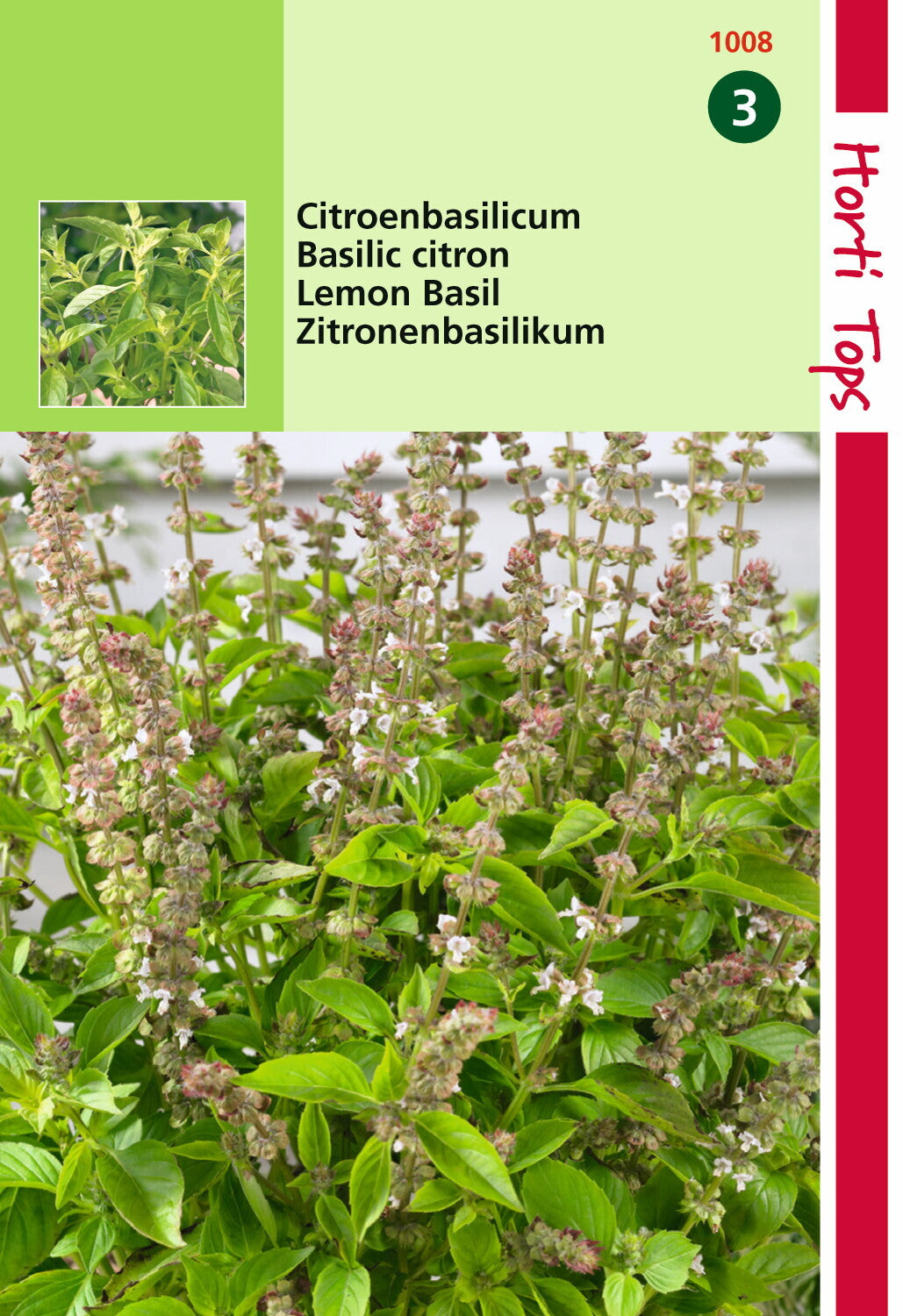 Basilicum Citroensmaak - Lemon Basil - Kemangi 1.5 gram