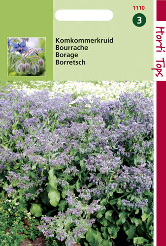 Komkommerkruid (Borage) te koop op Moestuinweetjes.com