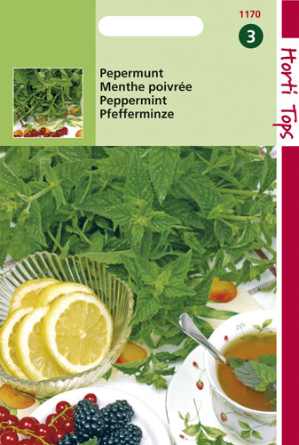 Menthe - Menthe poivrée - contenu : 0,2 grammes