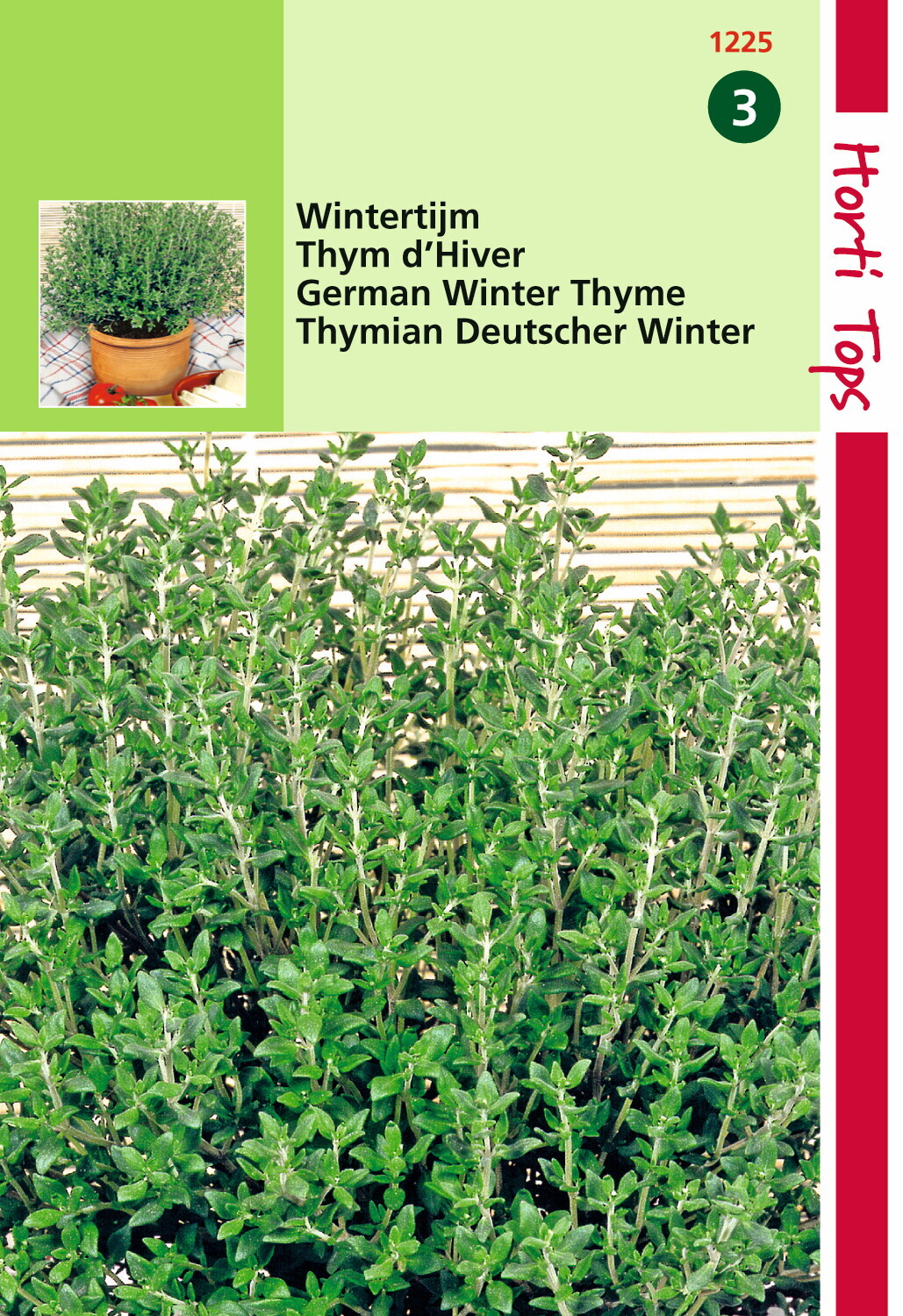 Tijm. Echte Winter (Thymus Vulgaris) 0.5 gram