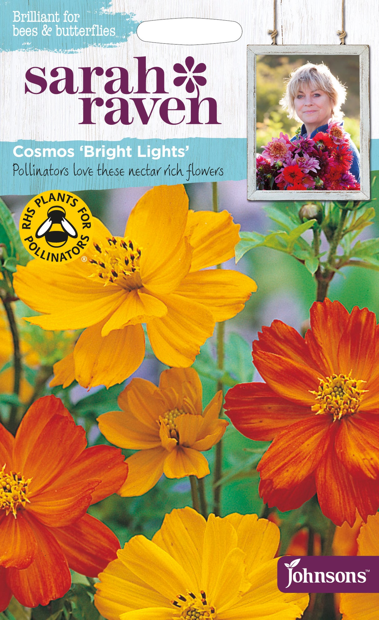 COSMOS - cosmea 'Bright Lights'