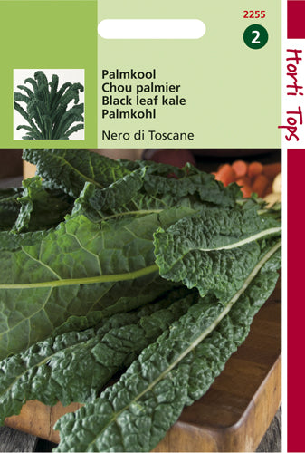 Palmkohl Nero di Toscane - Inhalt: 2 Gramm