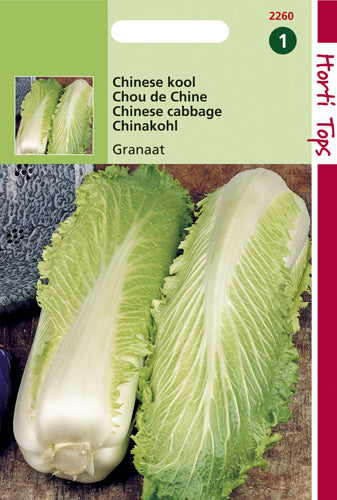 Chinese Kool Granaat te koop op Moestuinweetjes.com