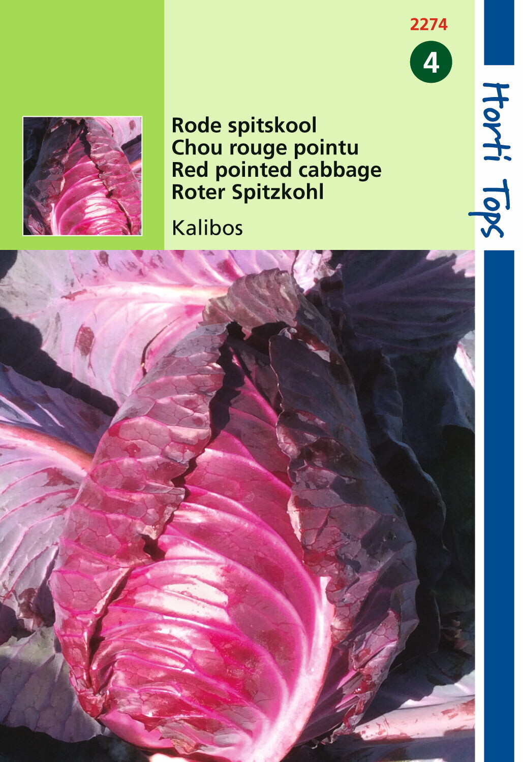 Chou rouge pointu Kalibos 1 gramme