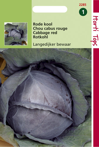 Chou rouge Langedijker Store 2 - contenu : 2 grammes