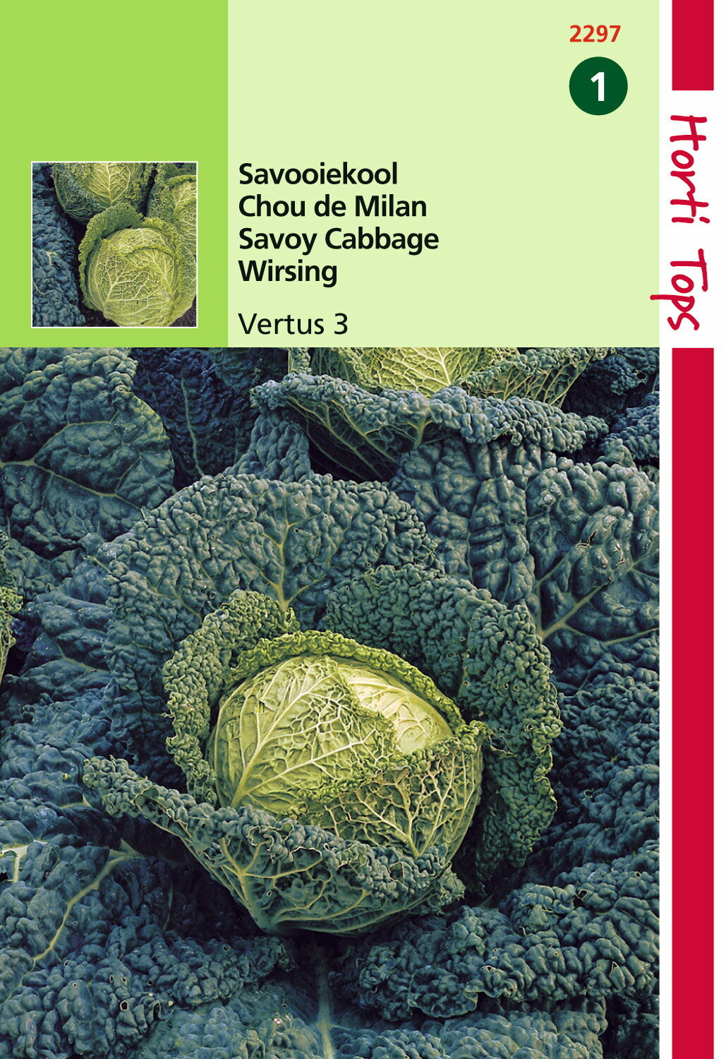 Chou de Milan Vertus 3 (Grand Vert Tardif) 2 grammes