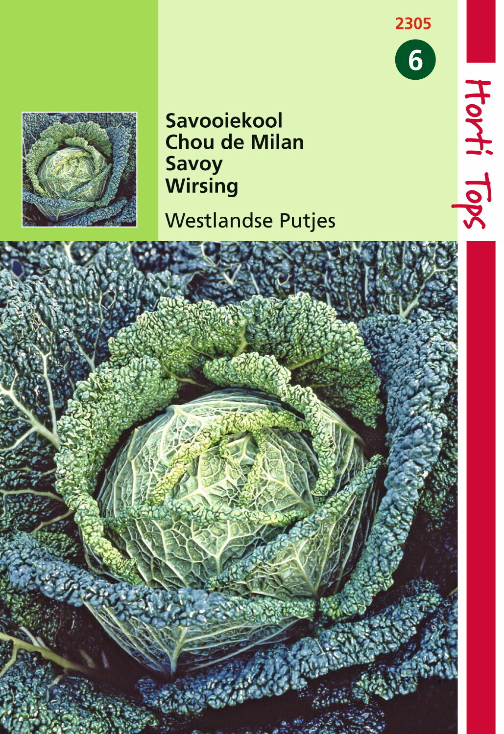 Chou de Milan Putjes vert foncé 0,5 gramme