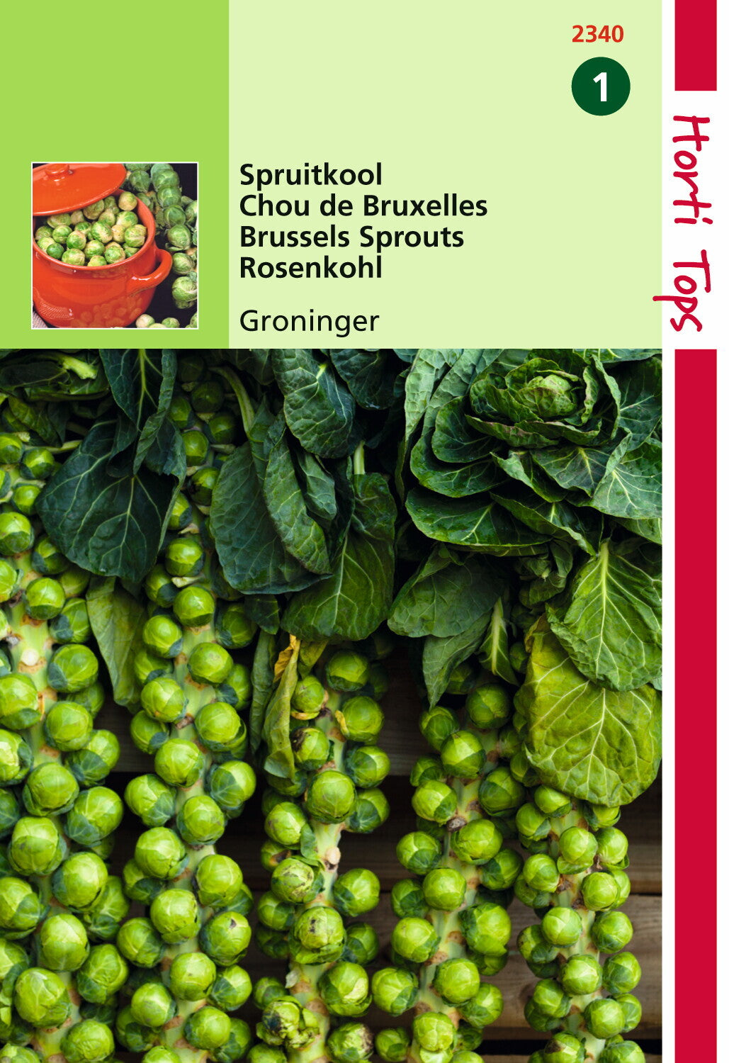 Choux de Bruxelles Groninger 2 grammes