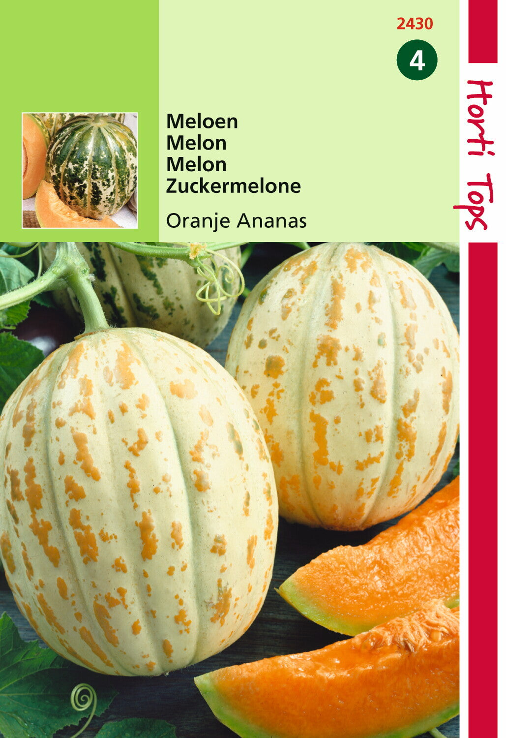 Melons Orange Ananas 1 gramme