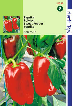 Paprika - Solero F1