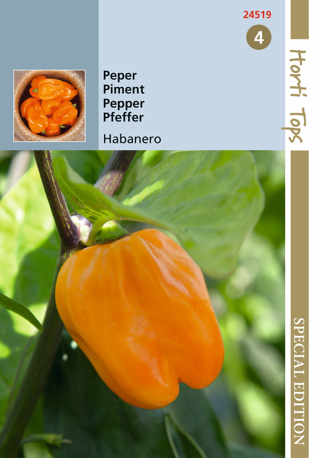 Peper Habanero oranje 10 zaden - 300000 Scoville