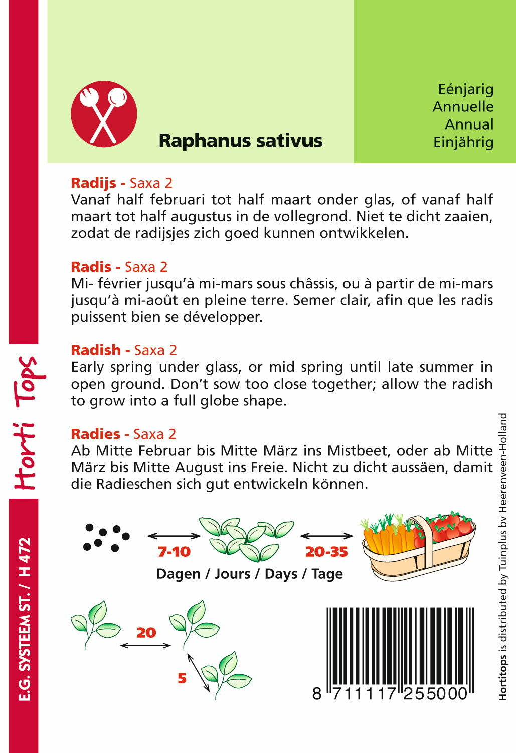 Rettich - Saxa 2 - 10 Gramm Hortitops